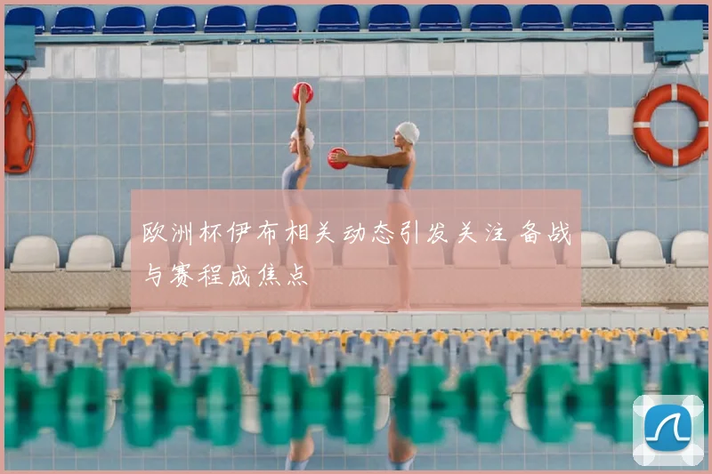 欧洲杯伊布相关动态引发关注 备战与赛程成焦点